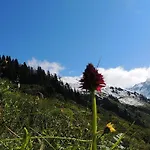 Haus Lifinar - Carmen Juen Apartamento Sankt Gallenkirch