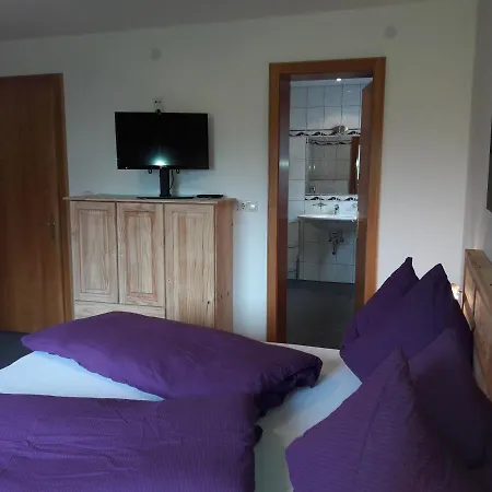 Haus Lifinar - Carmen Juen Apartment Sankt Gallenkirch