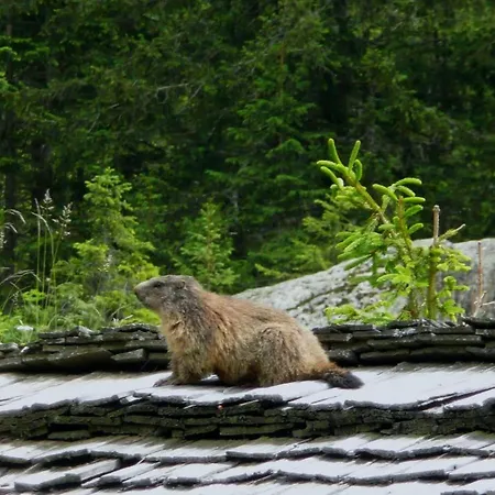 Haus Lifinar - Carmen Juen Apartment