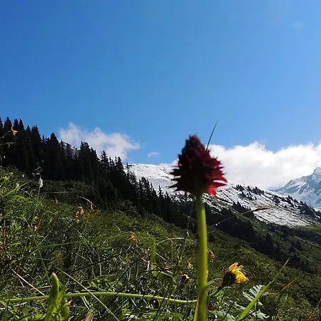 Haus Lifinar - Carmen Juen Apartment Sankt Gallenkirch