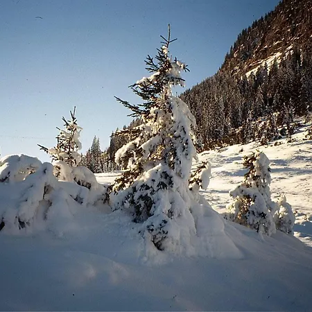 Apartment Haus Lifinar - Carmen Juen Sankt Gallenkirch