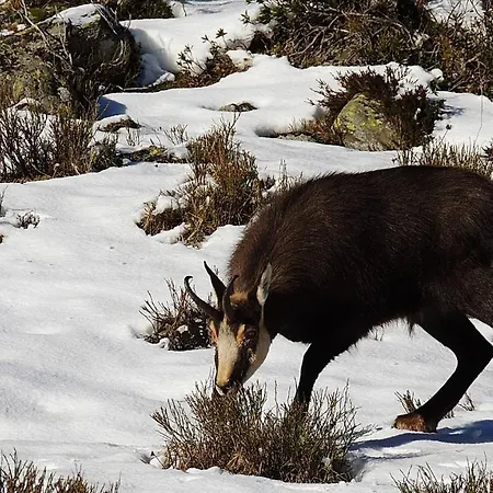 Haus Lifinar - Carmen Juen Apartment *