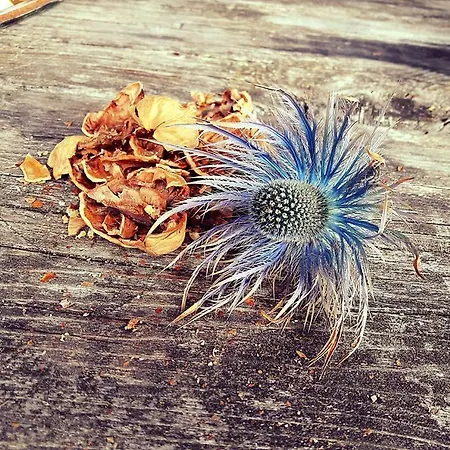 Haus Lifinar - Carmen Juen Apartment Sankt Gallenkirch