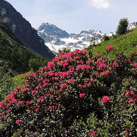 Haus Lifinar - Carmen Juen Apartment *