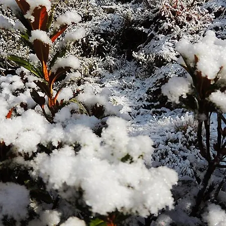 Haus Lifinar - Carmen Juen Apartment Sankt Gallenkirch